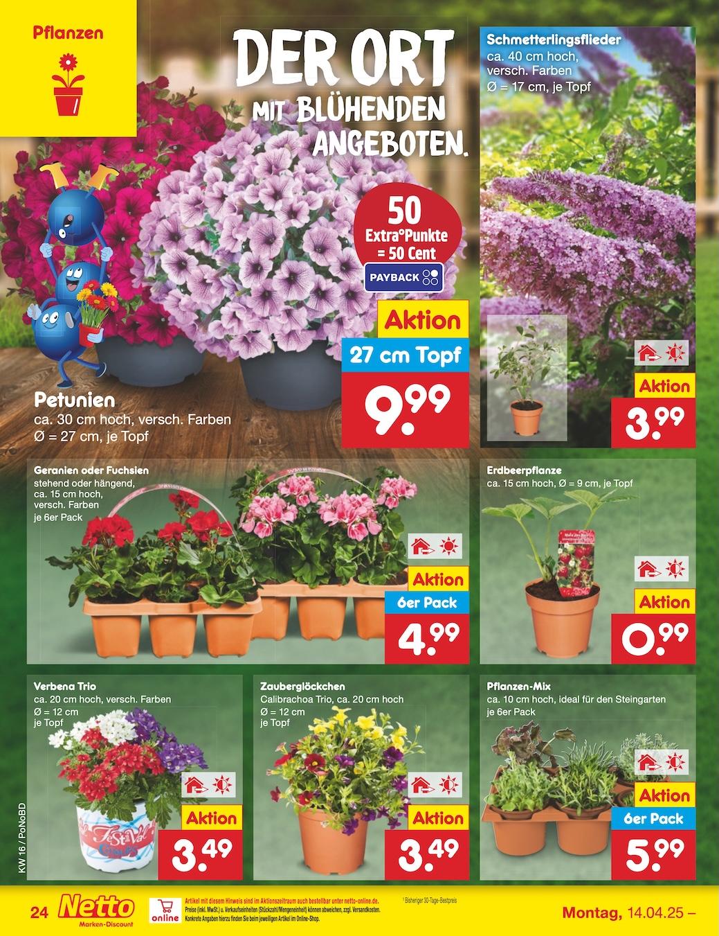 Netto Marken-Discount Seite 36