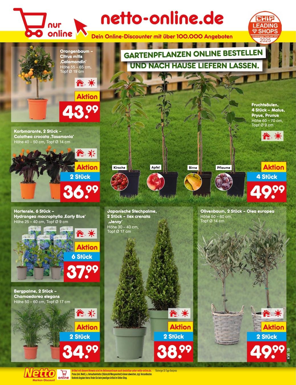 Netto Marken-Discount Seite 42