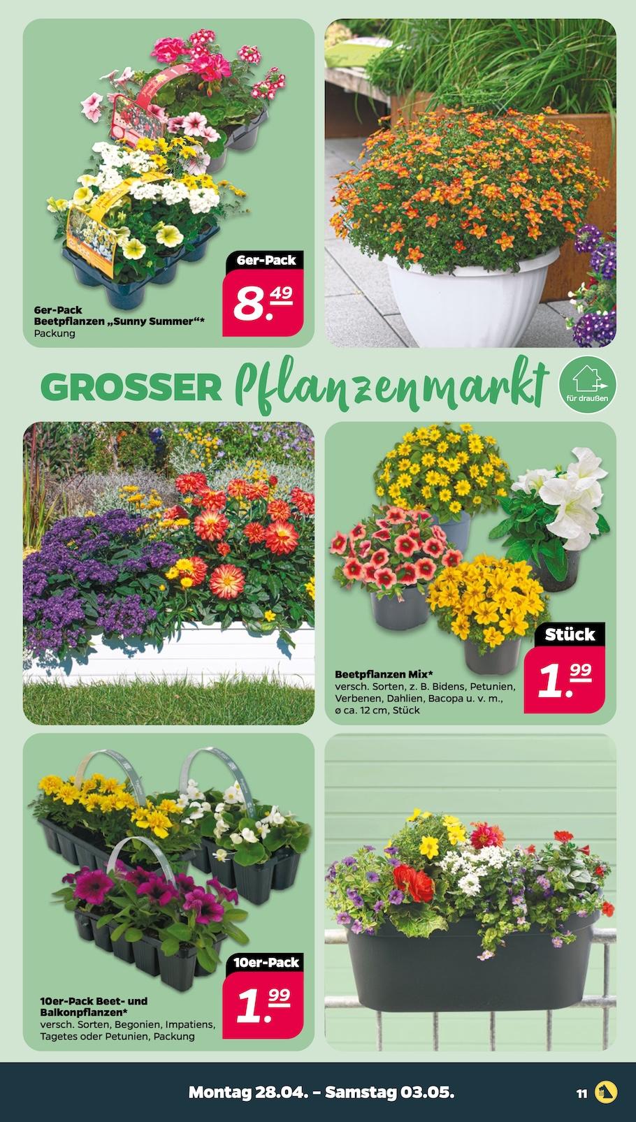 Netto Aktueller Prospekt ab Montag Seite 11