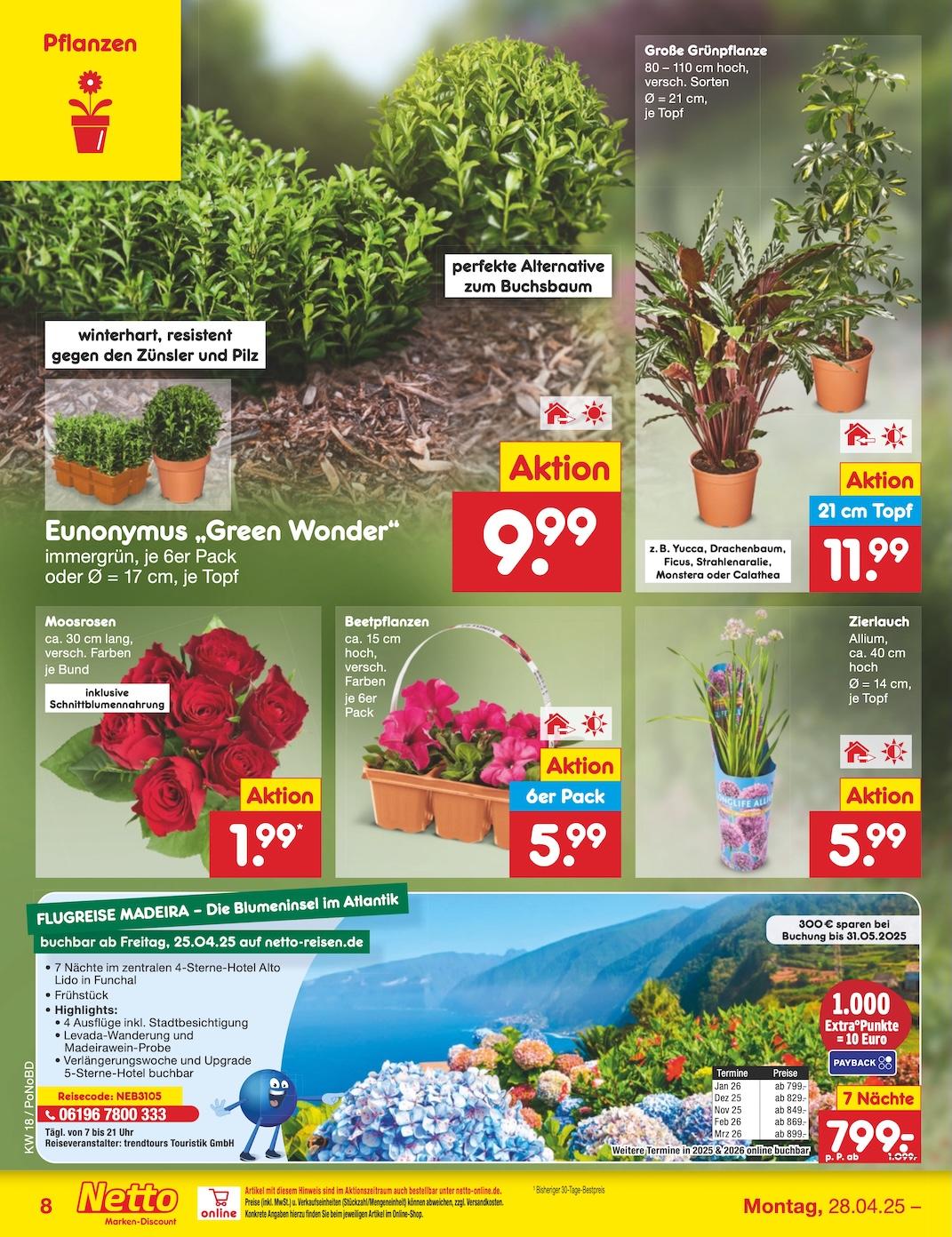 Netto Marken-Discount Seite 8