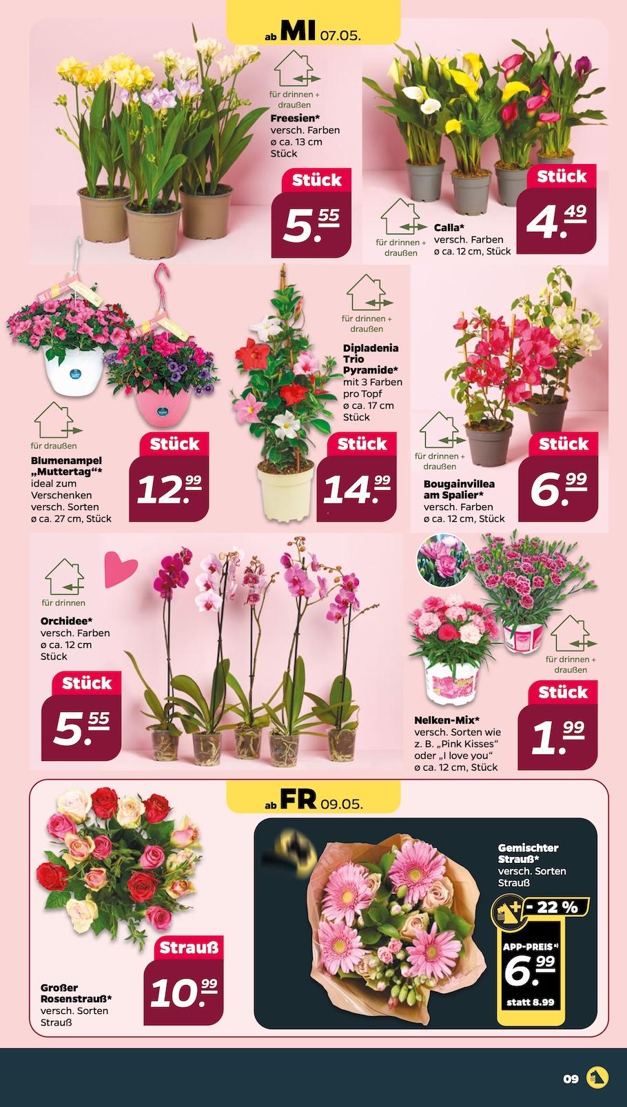 Netto Aktueller Prospekt ab Montag Seite 9