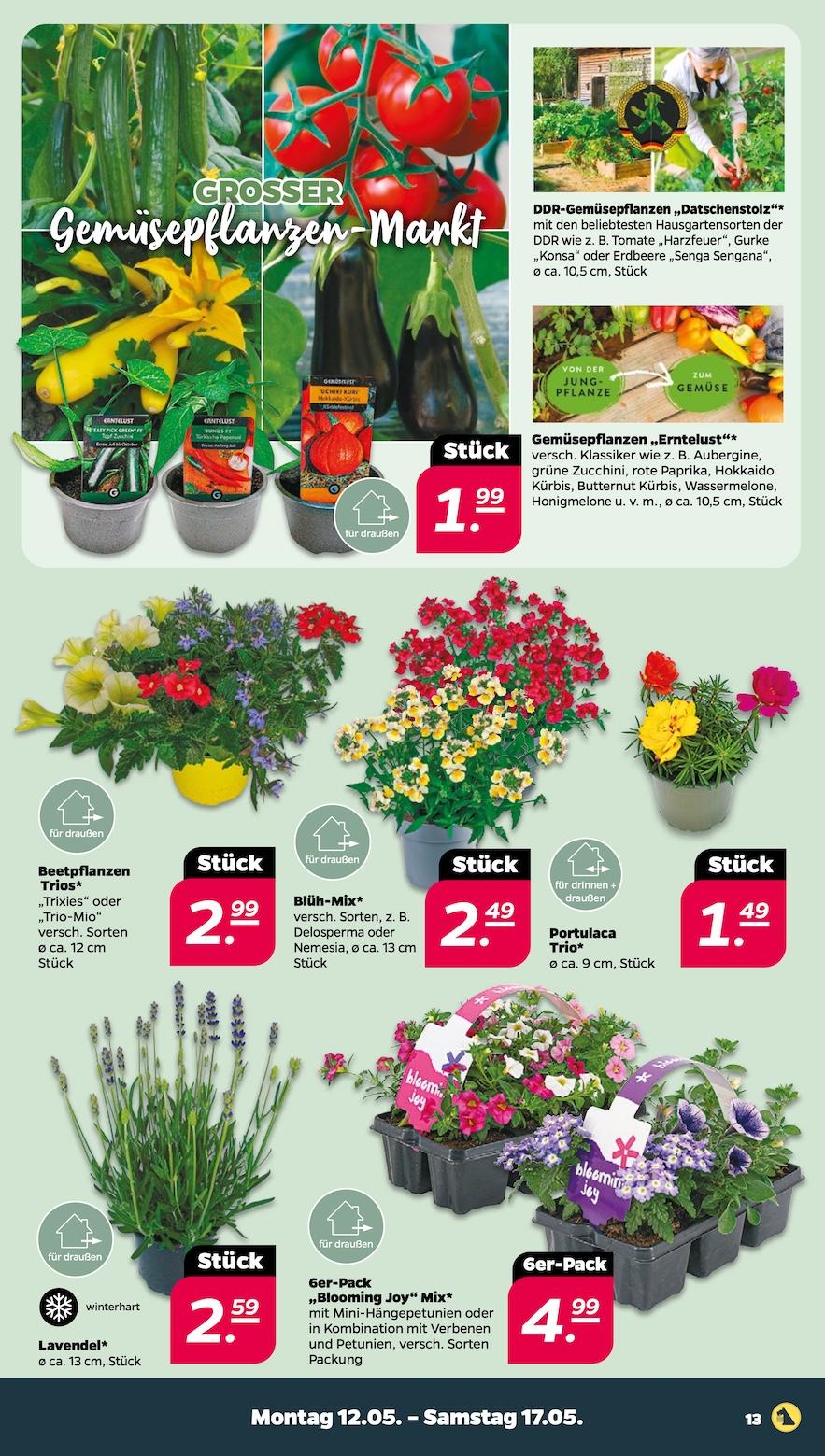 Netto Aktueller Prospekt ab Montag Seite 13