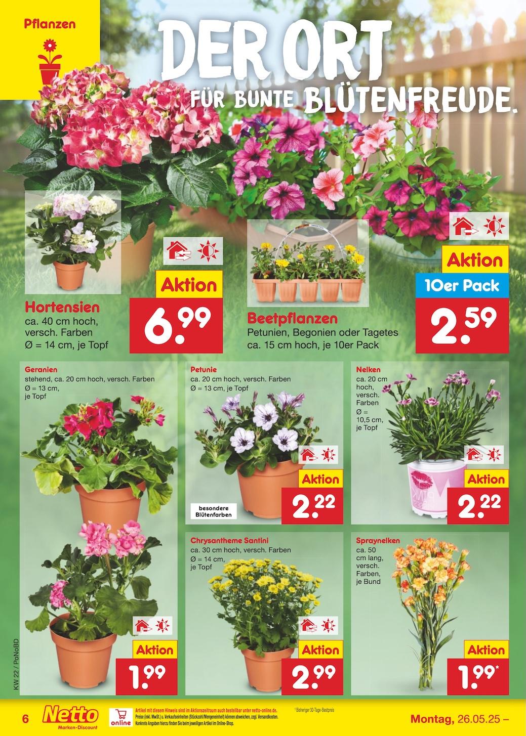 Netto Marken-Discount Seite 8