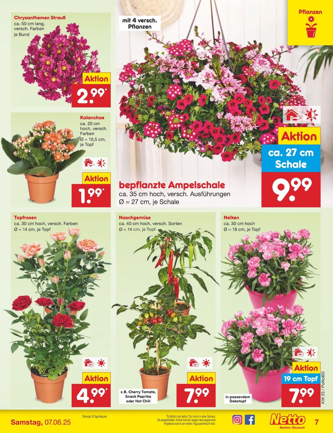 Netto Marken-Discount Seite 7
