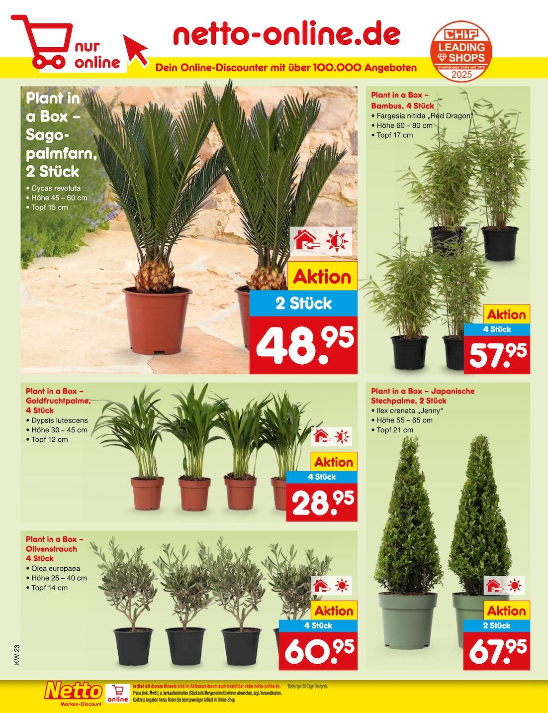 Netto Marken-Discount Seite 8