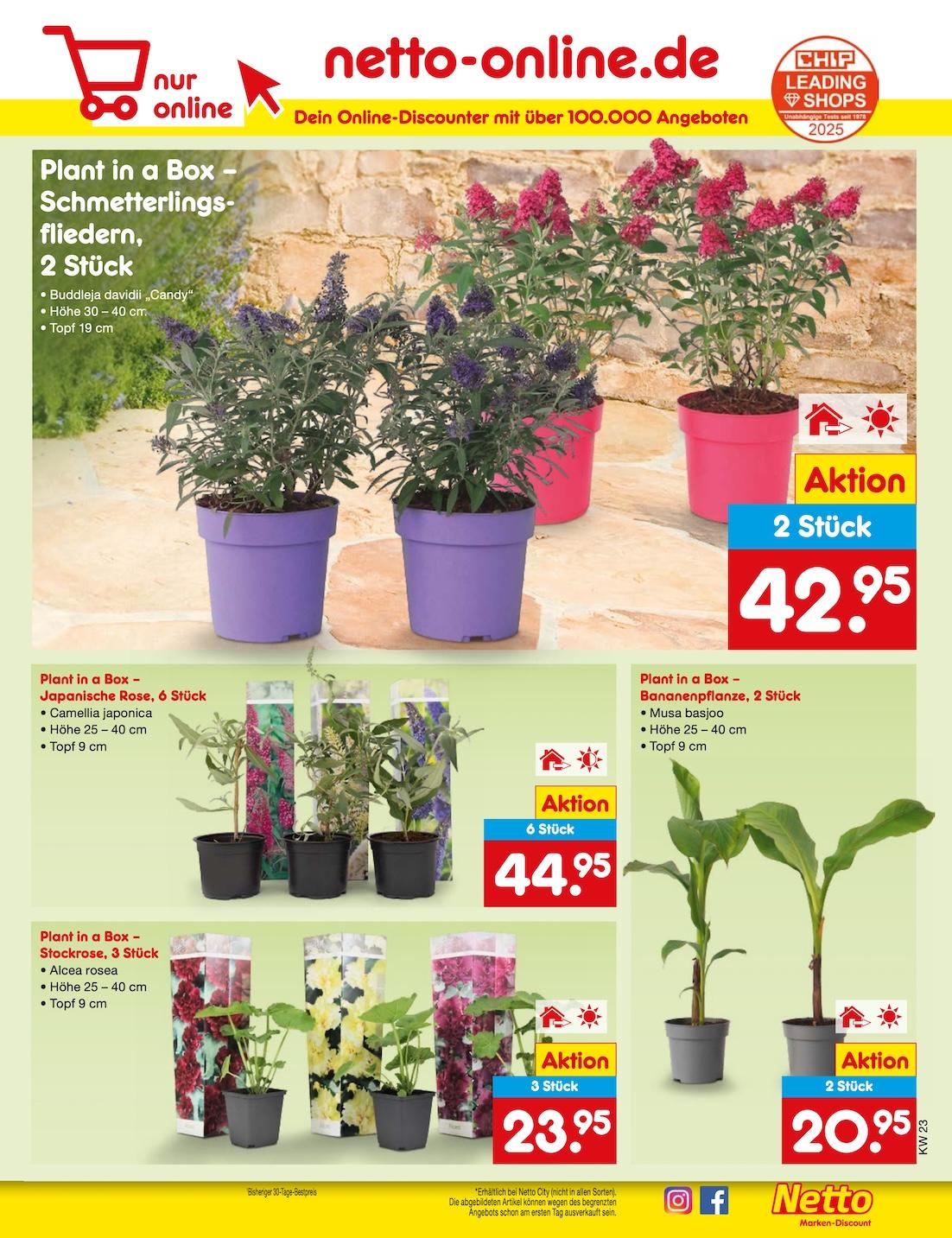 Netto Marken-Discount Seite 9