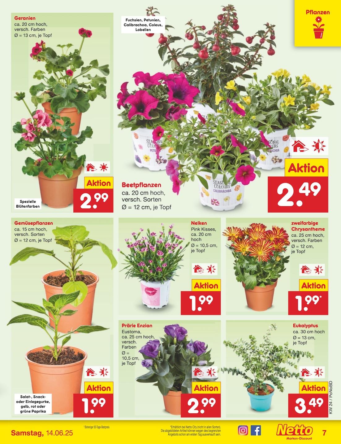 Netto Marken-Discount Seite 7