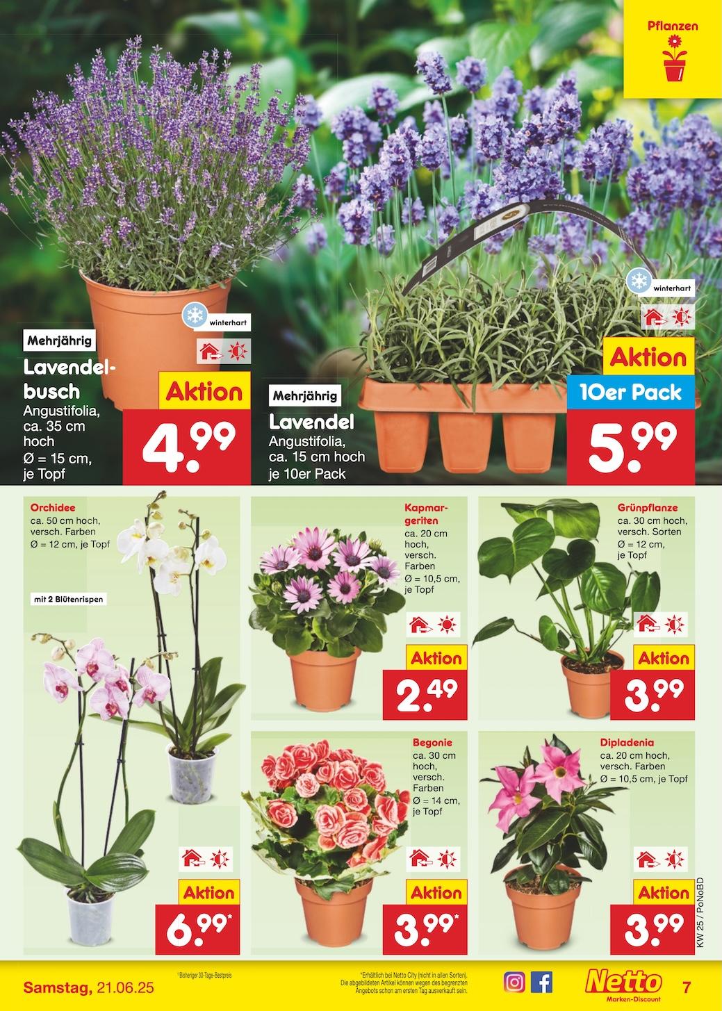 Netto Marken-Discount Seite 7