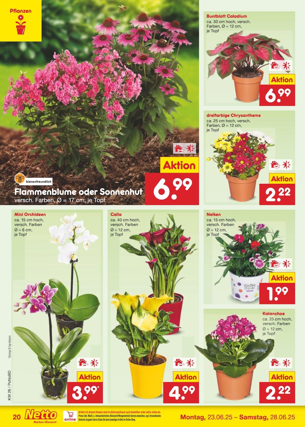 Netto Marken-Discount Seite 28
