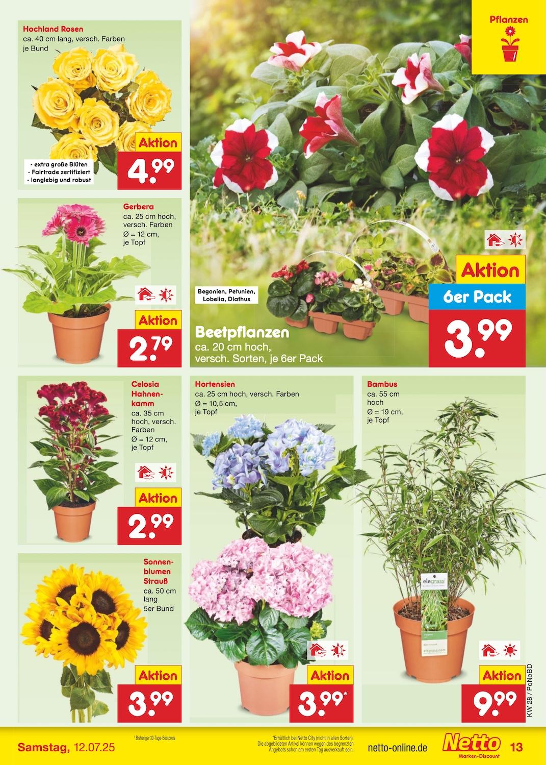 Netto Marken-Discount Seite 15