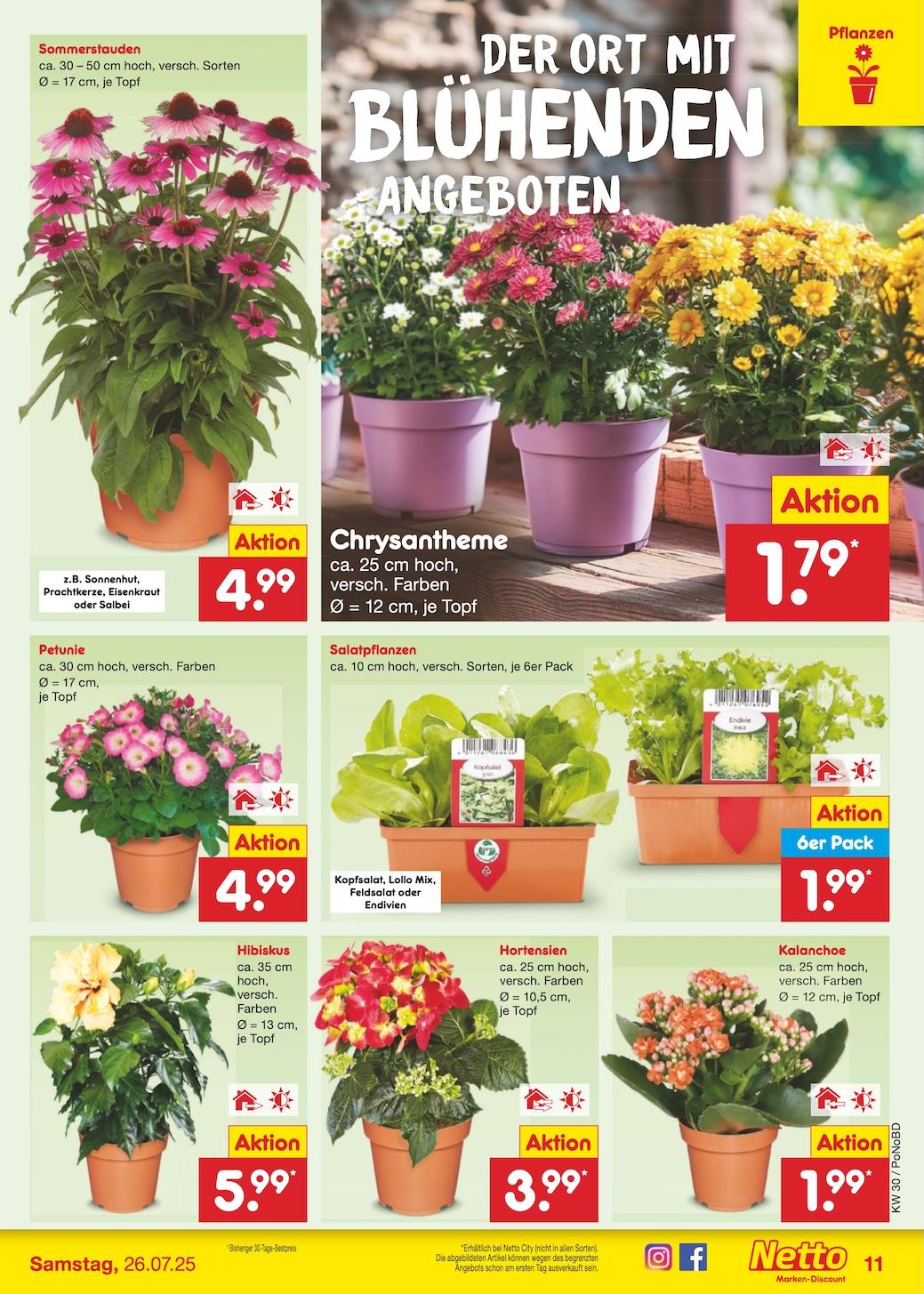Netto Marken-Discount Seite 13