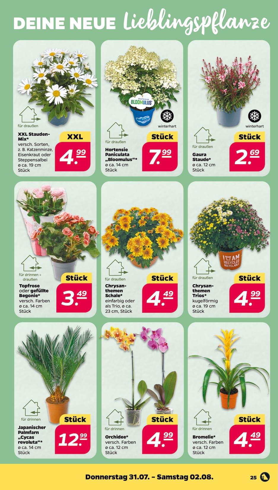 Netto Aktueller Prospekt ab Montag Seite 27