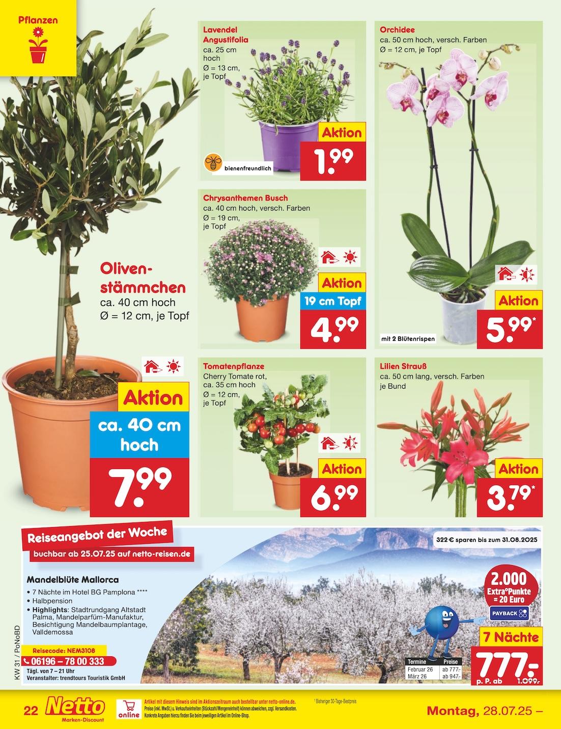 Netto Marken-Discount Seite 40