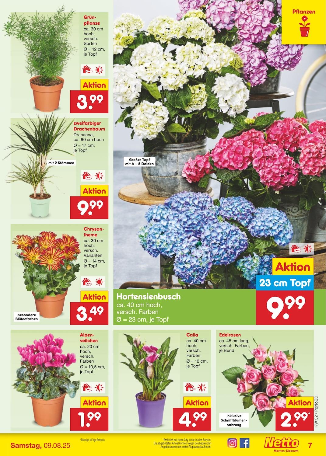 Netto Marken-Discount Seite 7