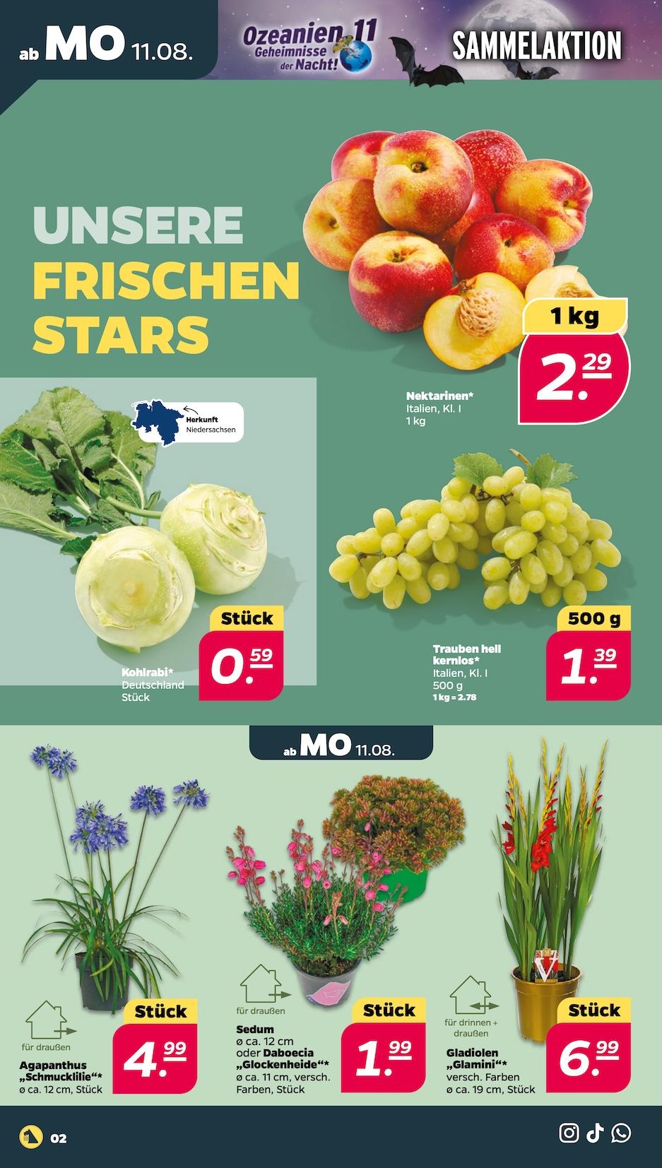 Netto Aktueller Prospekt ab Montag Seite 2