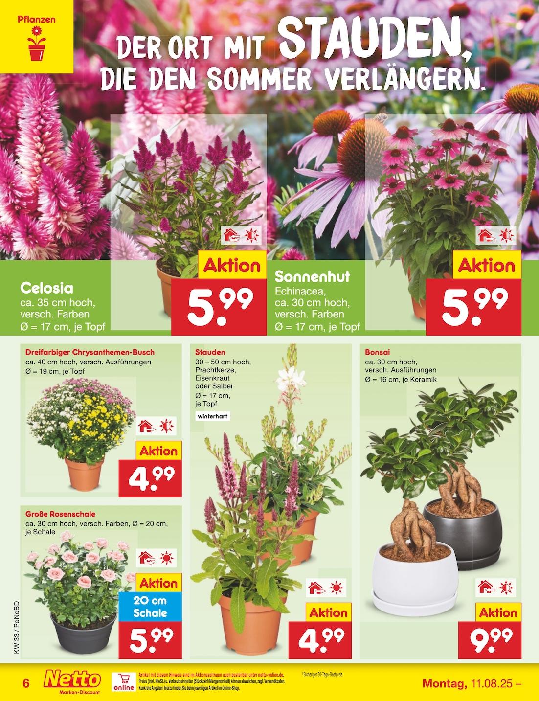 Netto Marken-Discount Seite 6
