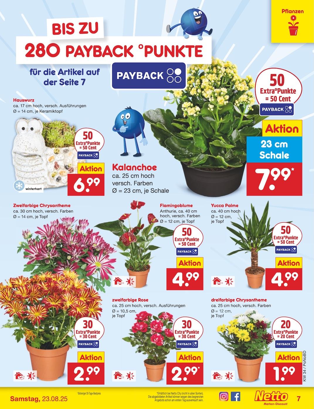 Netto Marken-Discount Seite 7