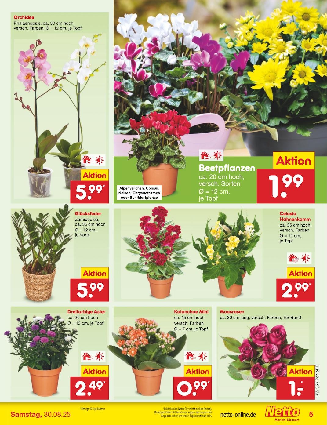 Netto Marken-Discount Seite 5