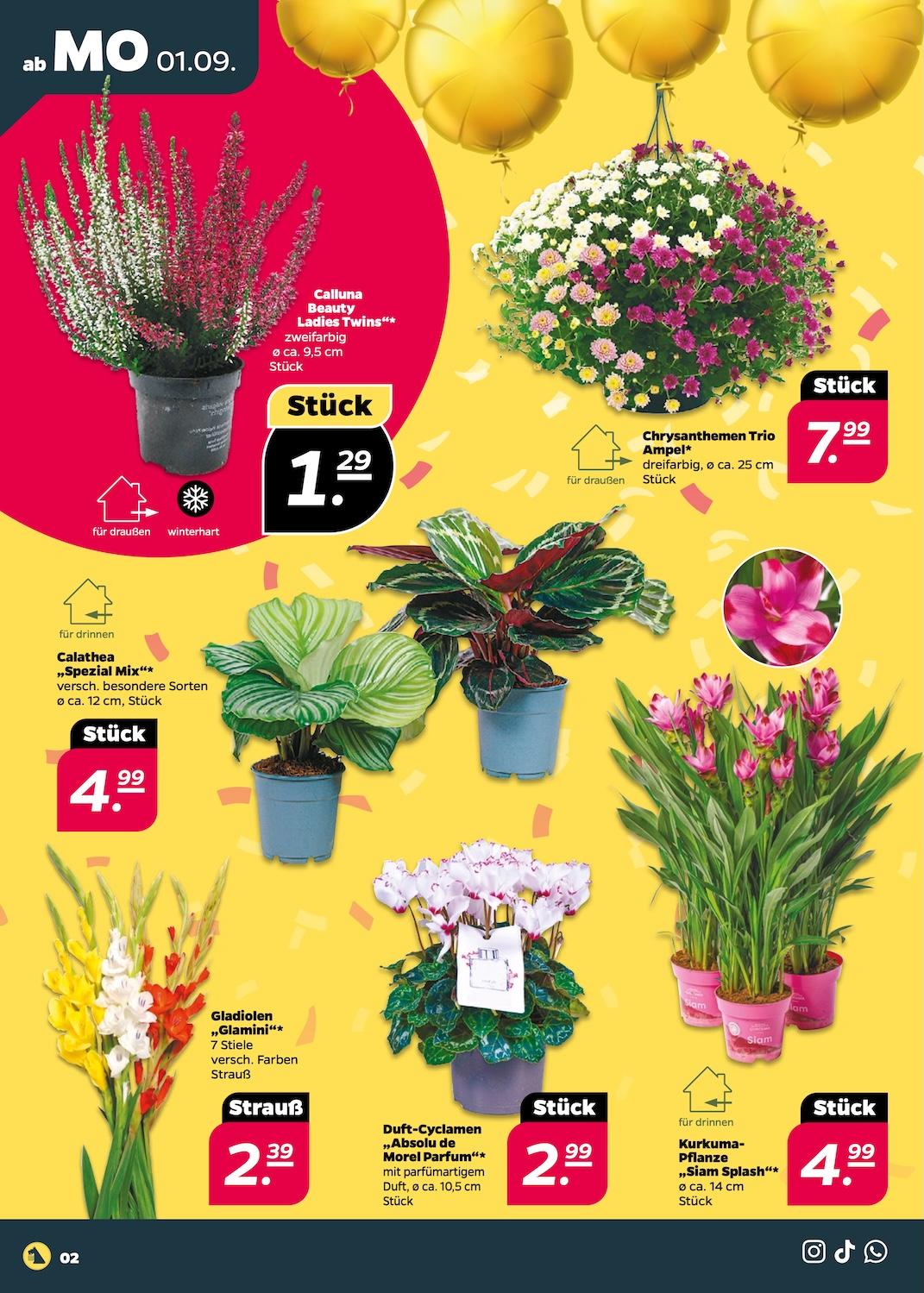Netto Aktueller Prospekt ab Montag Seite 2