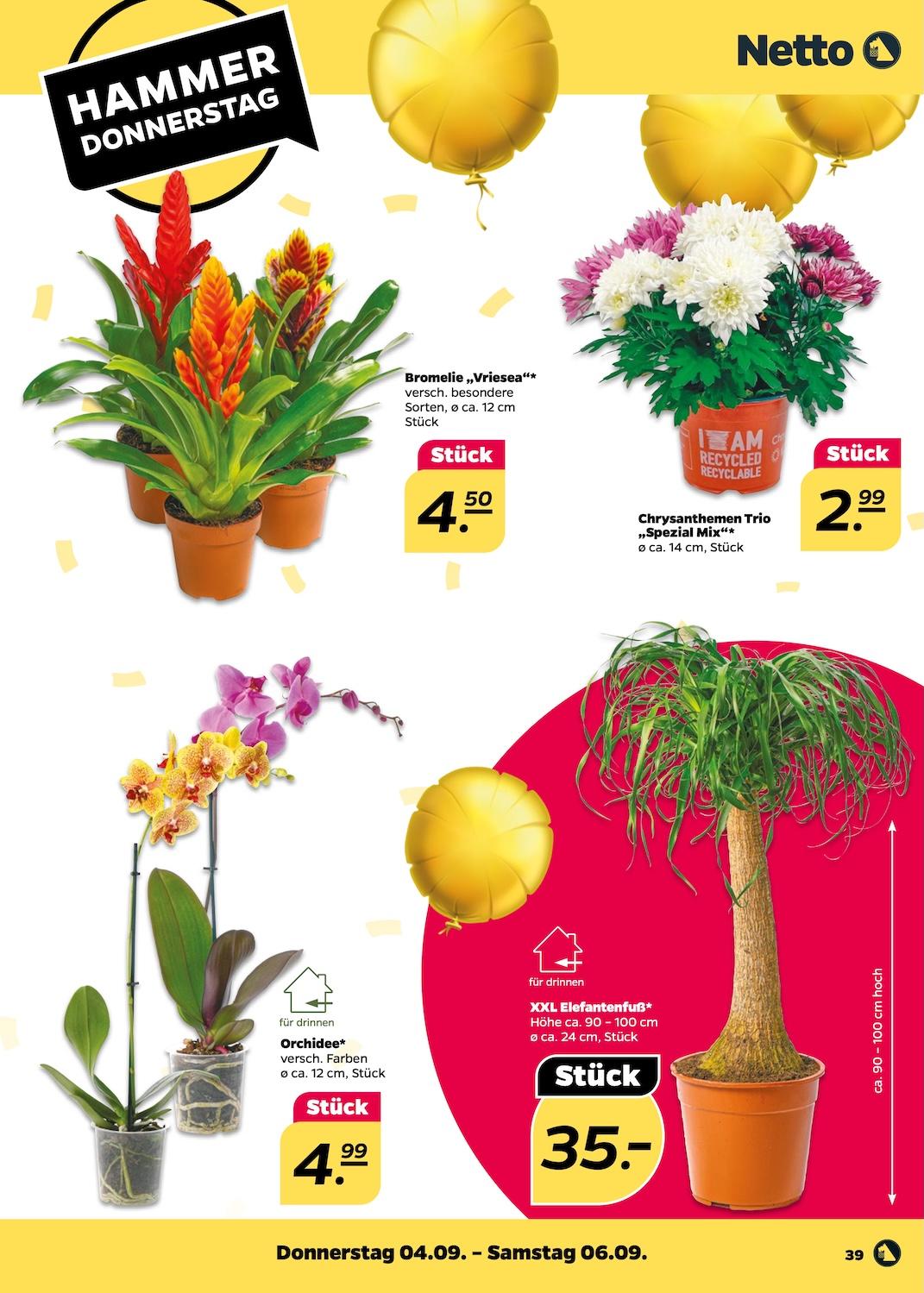 Netto Aktueller Prospekt ab Montag Seite 39