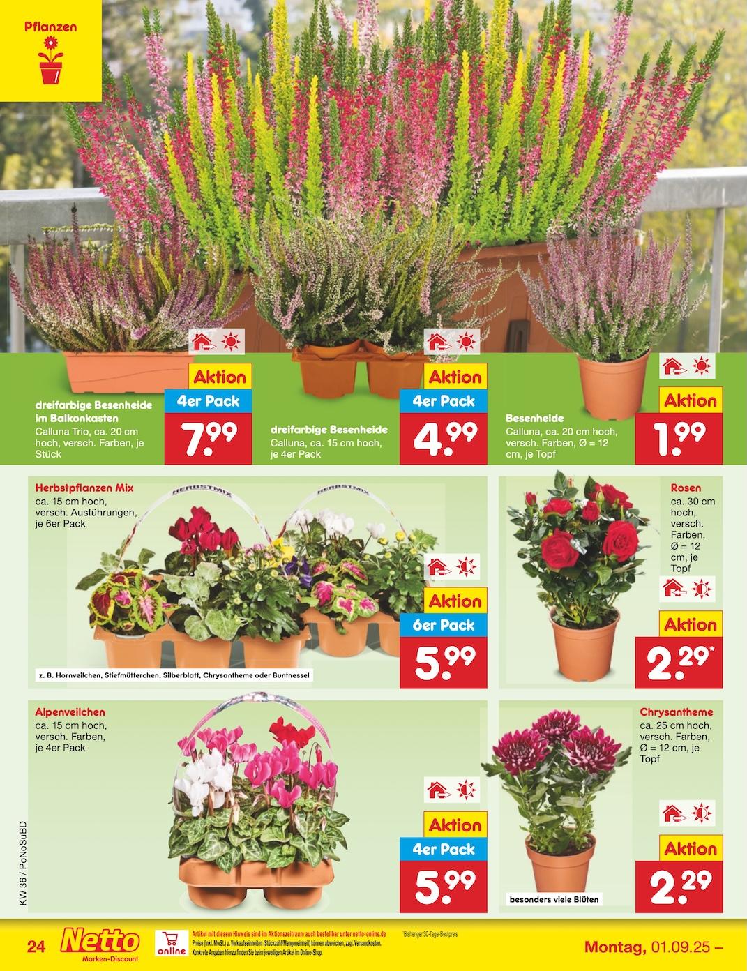 Netto Marken-Discount Seite 34