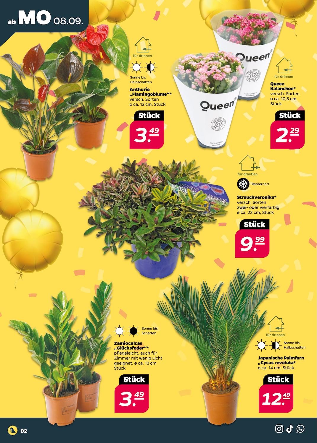 Netto Aktueller Prospekt ab Montag Seite 2