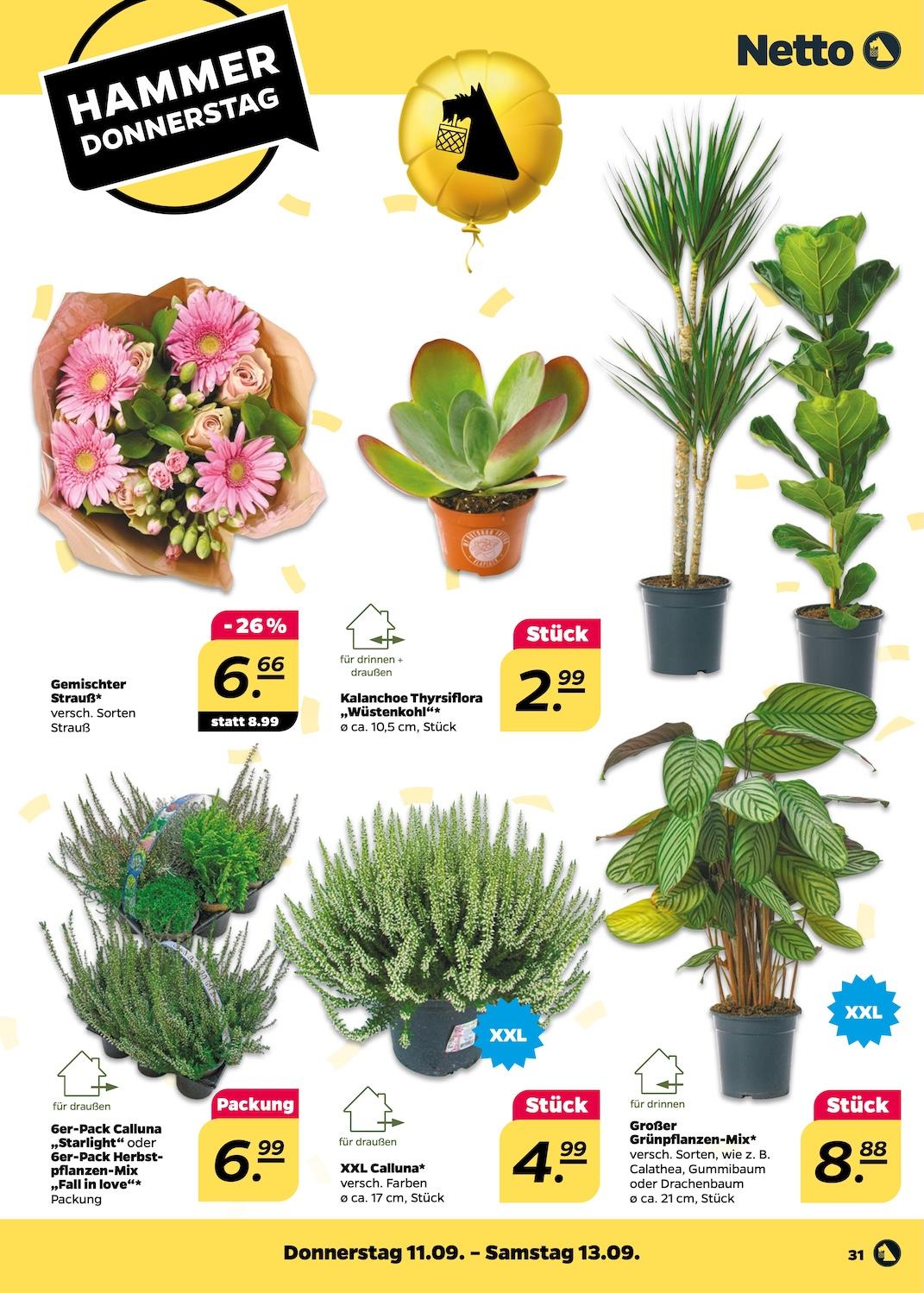 Netto Aktueller Prospekt ab Montag Seite 31