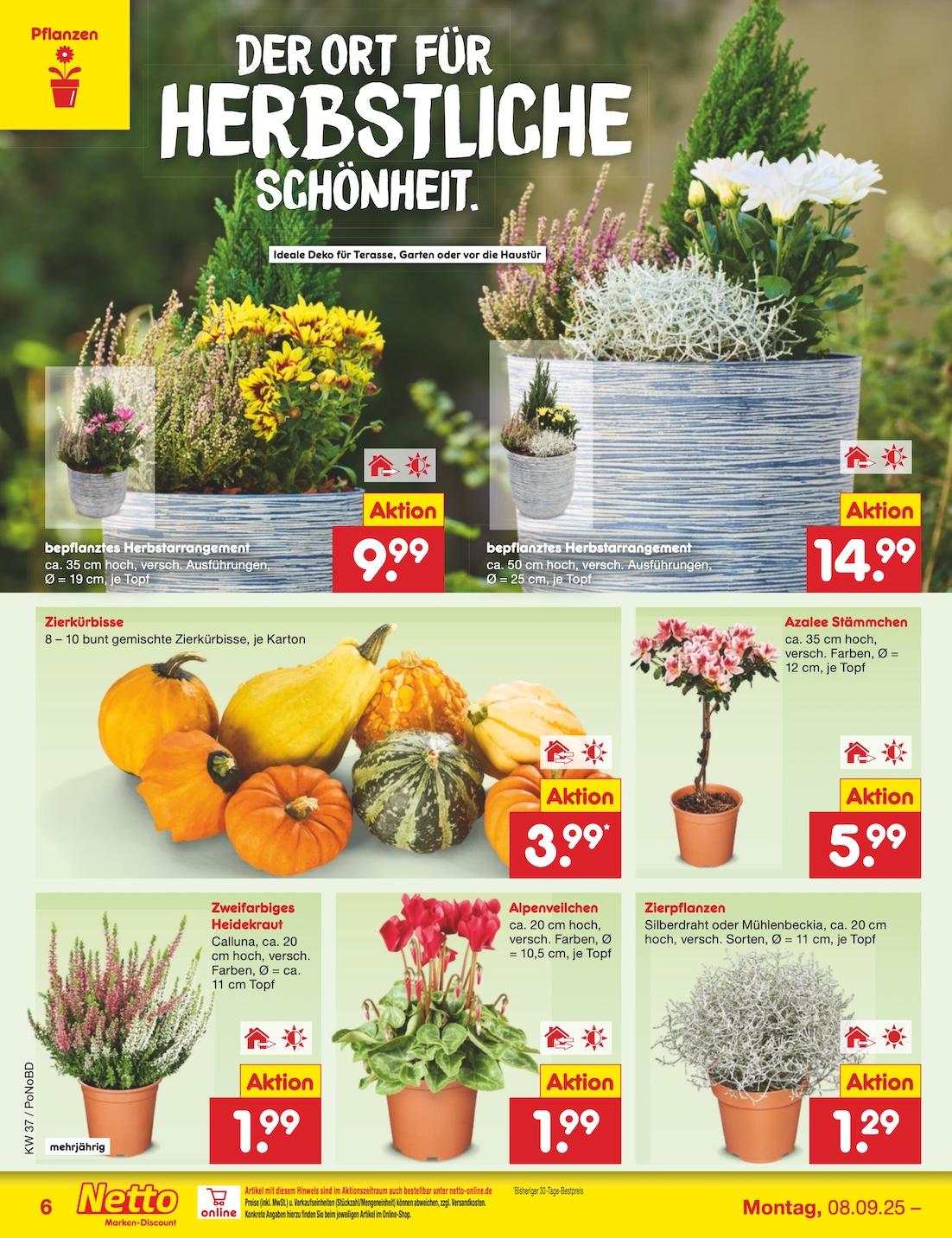 Netto Marken-Discount Seite 8