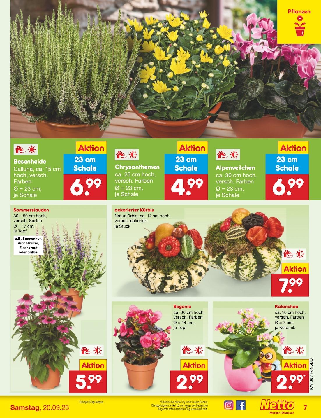 Netto Marken-Discount Seite 8
