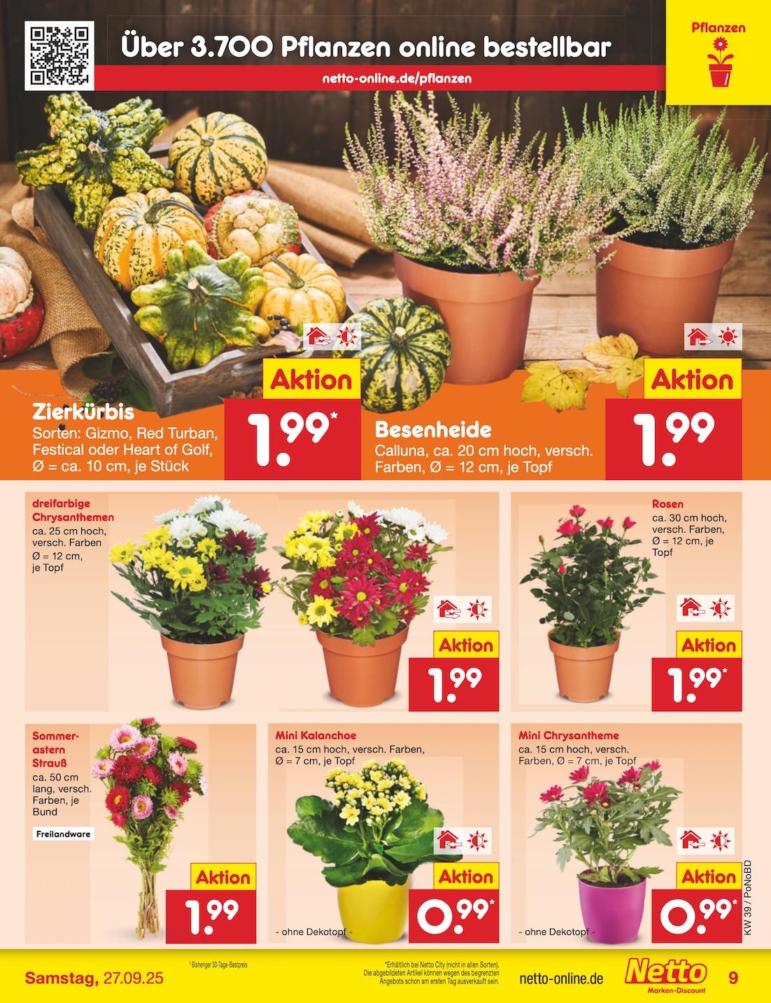 Netto Marken-Discount Seite 9