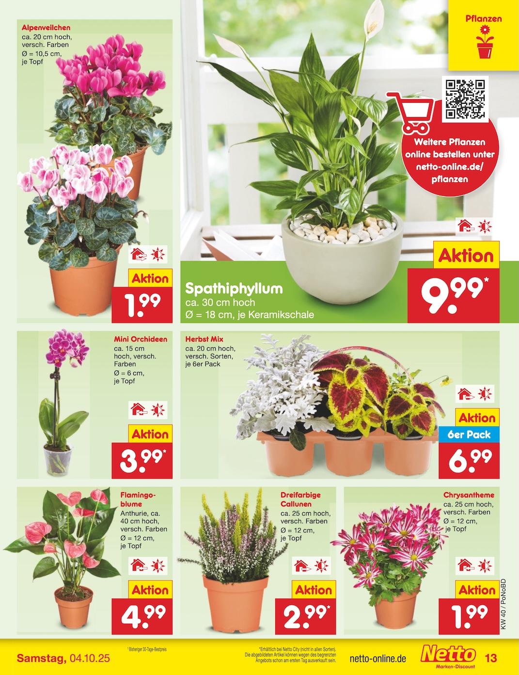 Netto Marken-Discount Seite 15