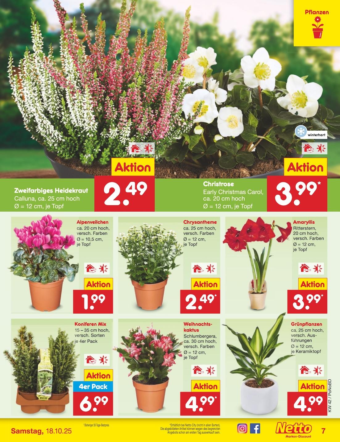 Netto Marken-Discount Seite 7