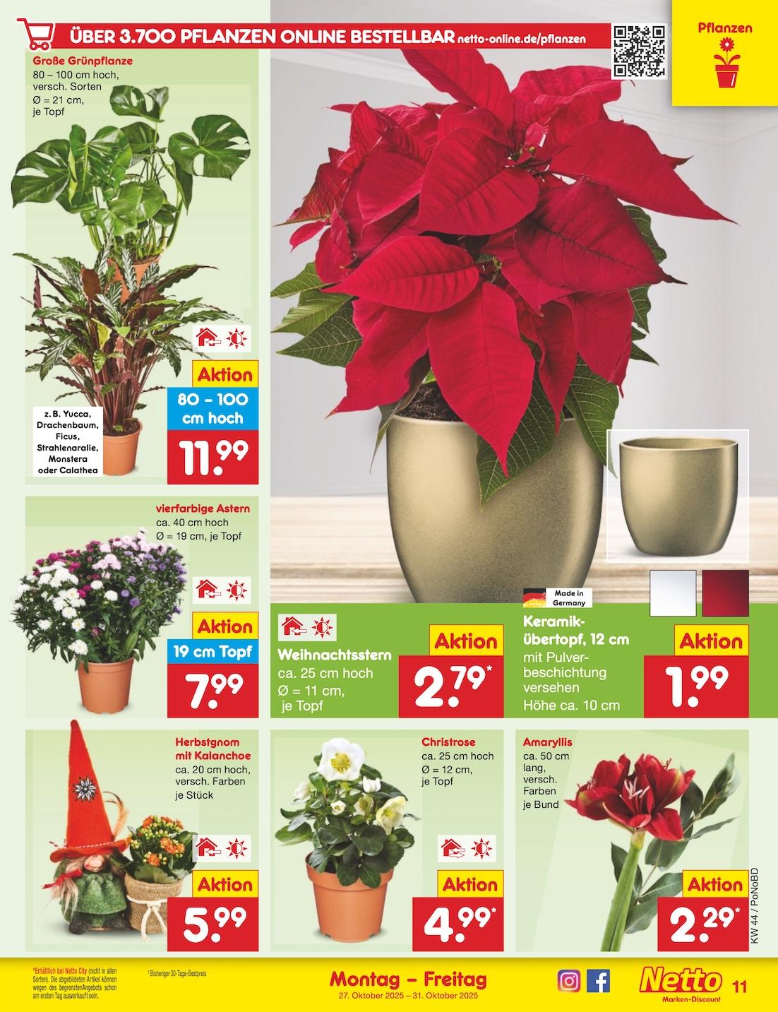 Netto Marken-Discount Seite 15