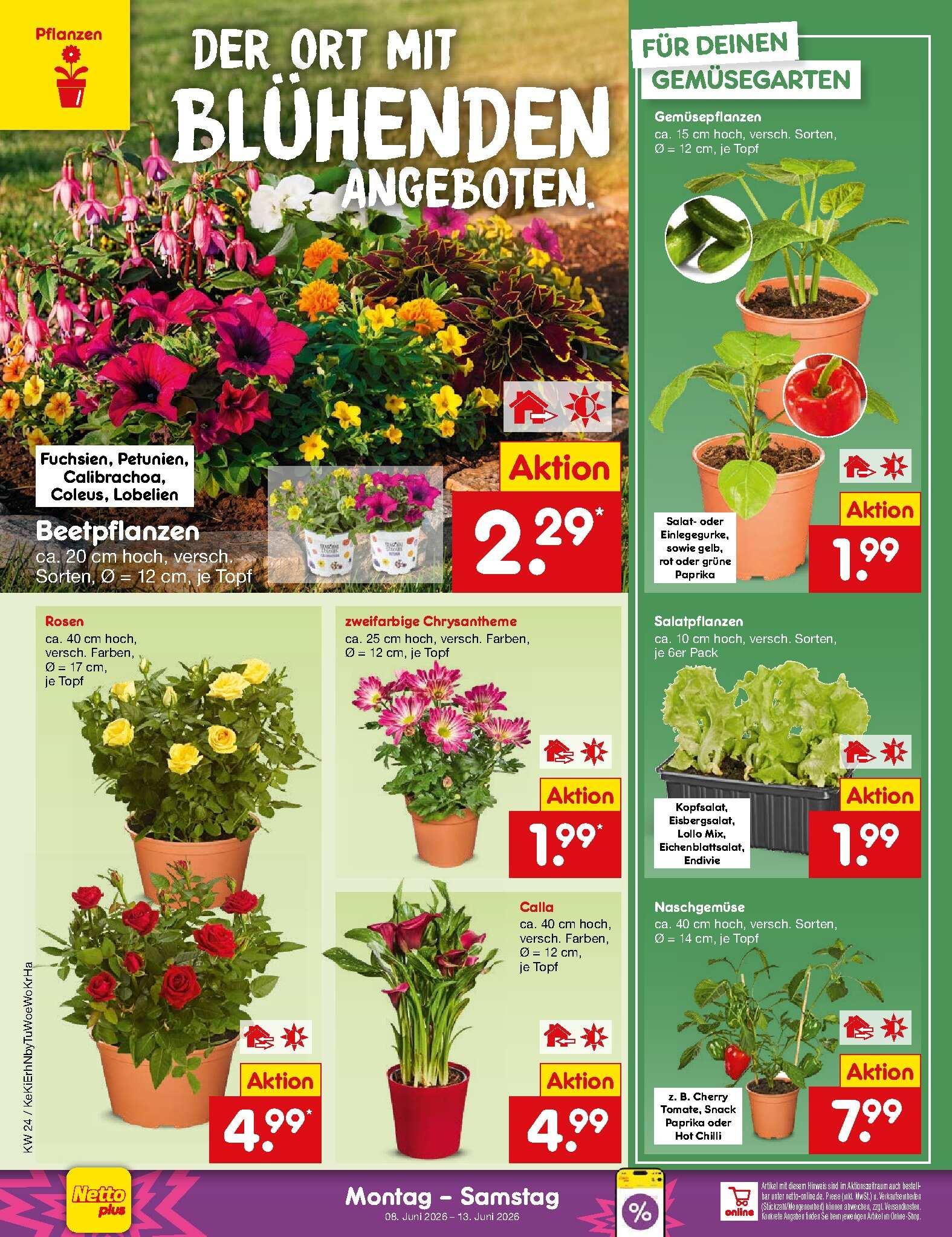 Netto Marken-Discount ab Montag Seite 16