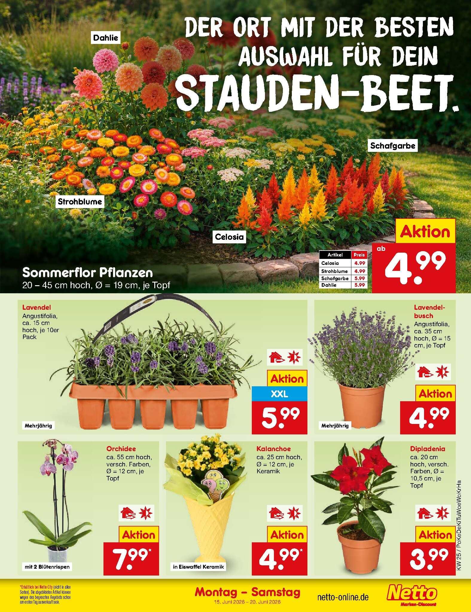 Netto Marken-Discount ab Montag Seite 21