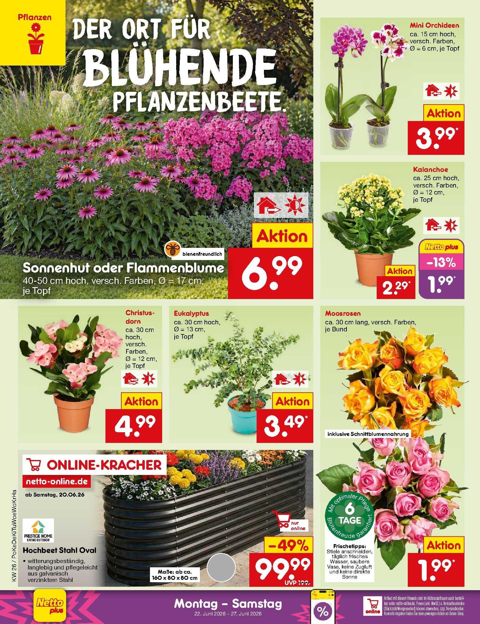 Netto Marken-Discount ab Montag Seite 36