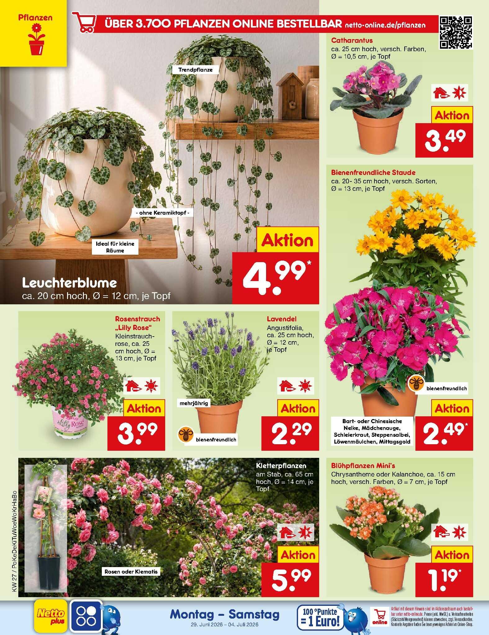 Netto Marken-Discount ab Montag Seite 20