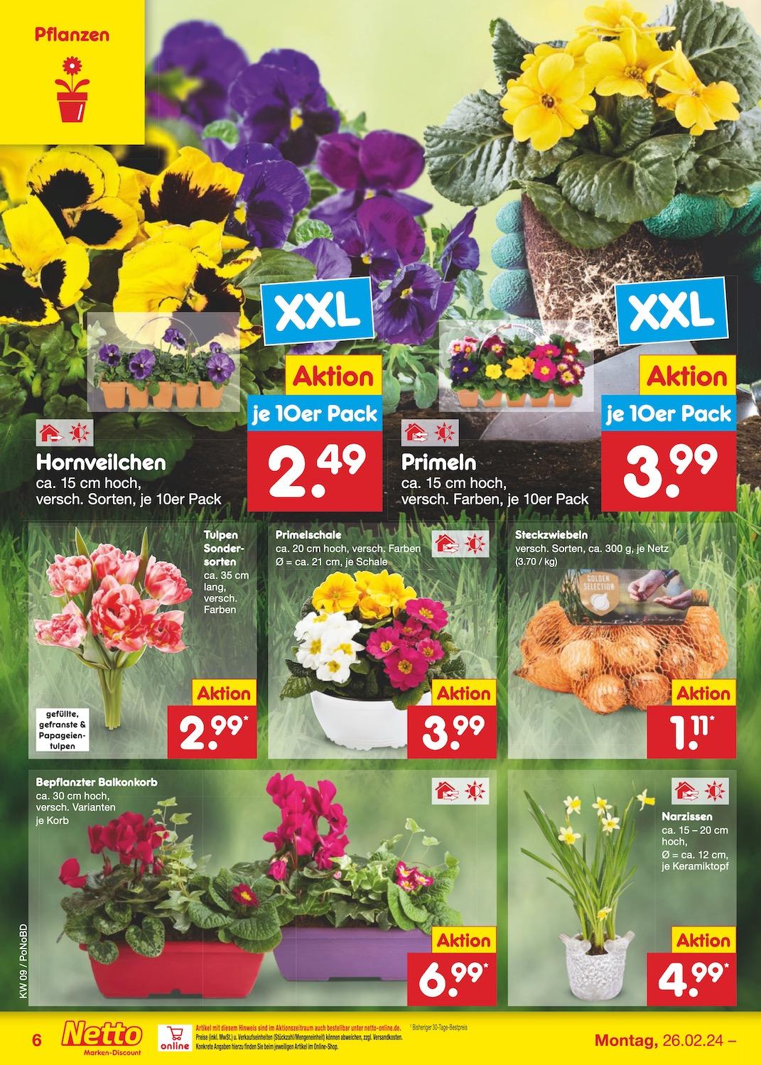 Netto Markend-Discount Seite 6