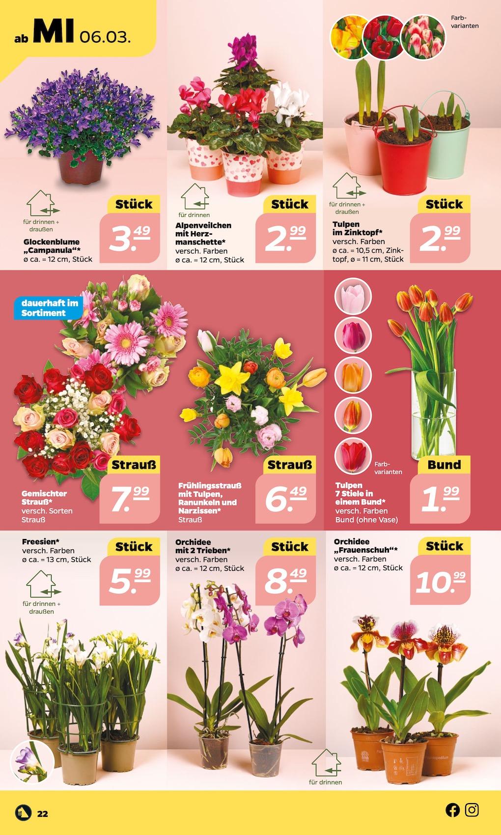 Netto Aktueller Prospekt ab Montag Seite 22
