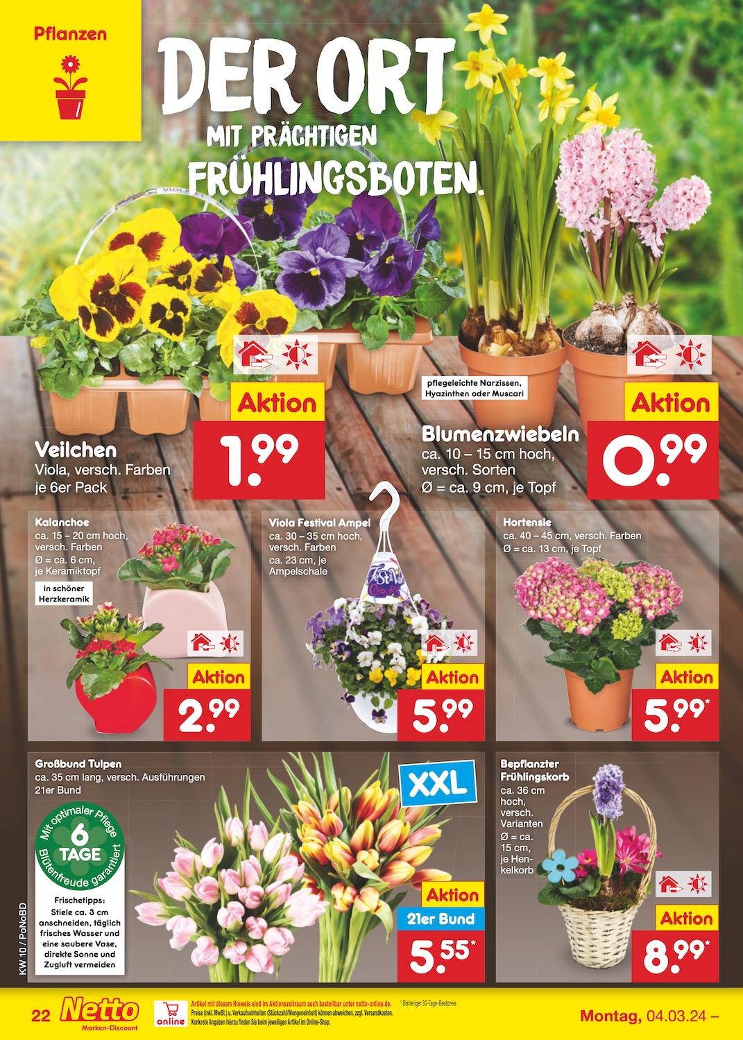Netto Markend-Discount Seite 22