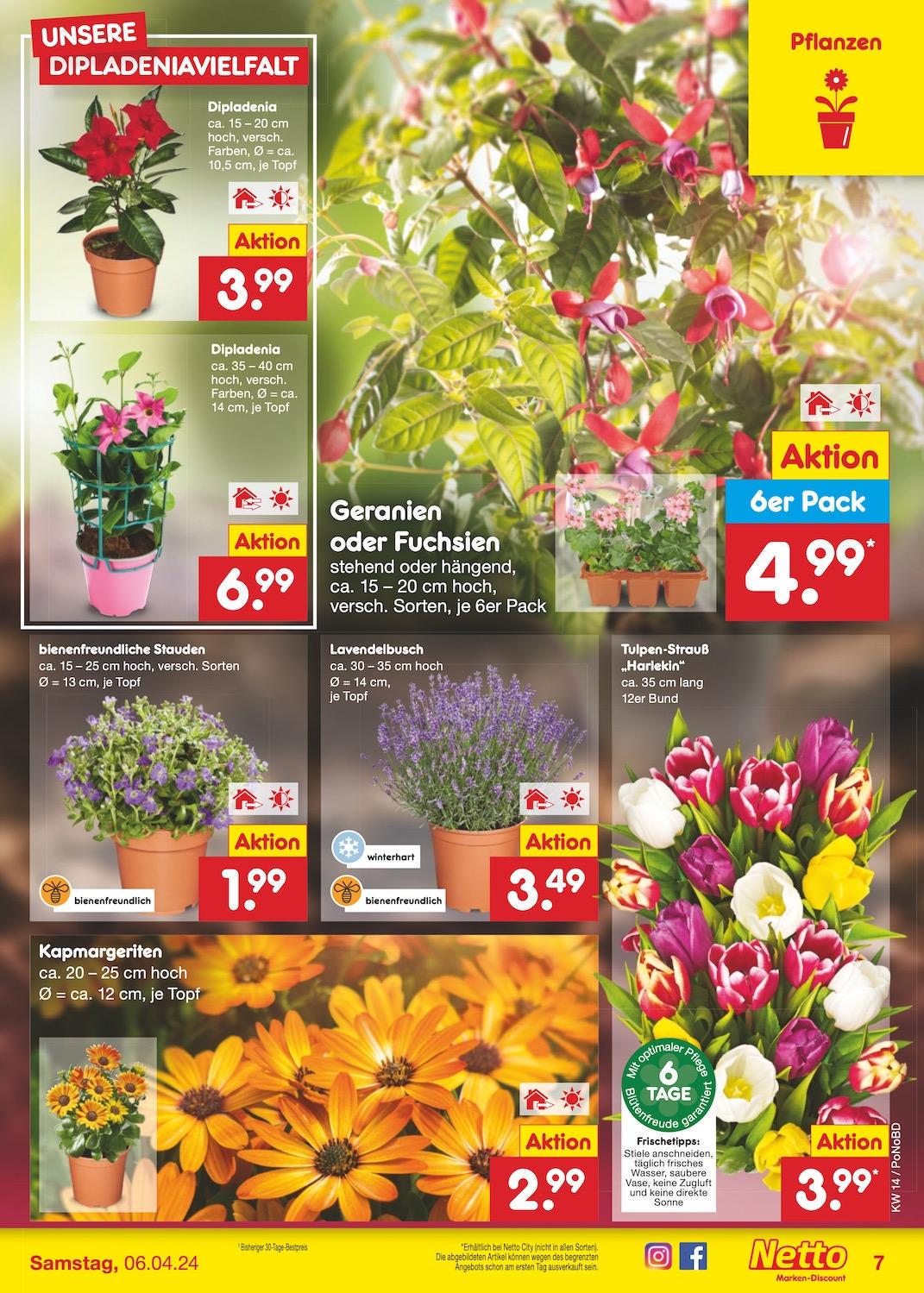 Netto Markend-Discount Seite 7