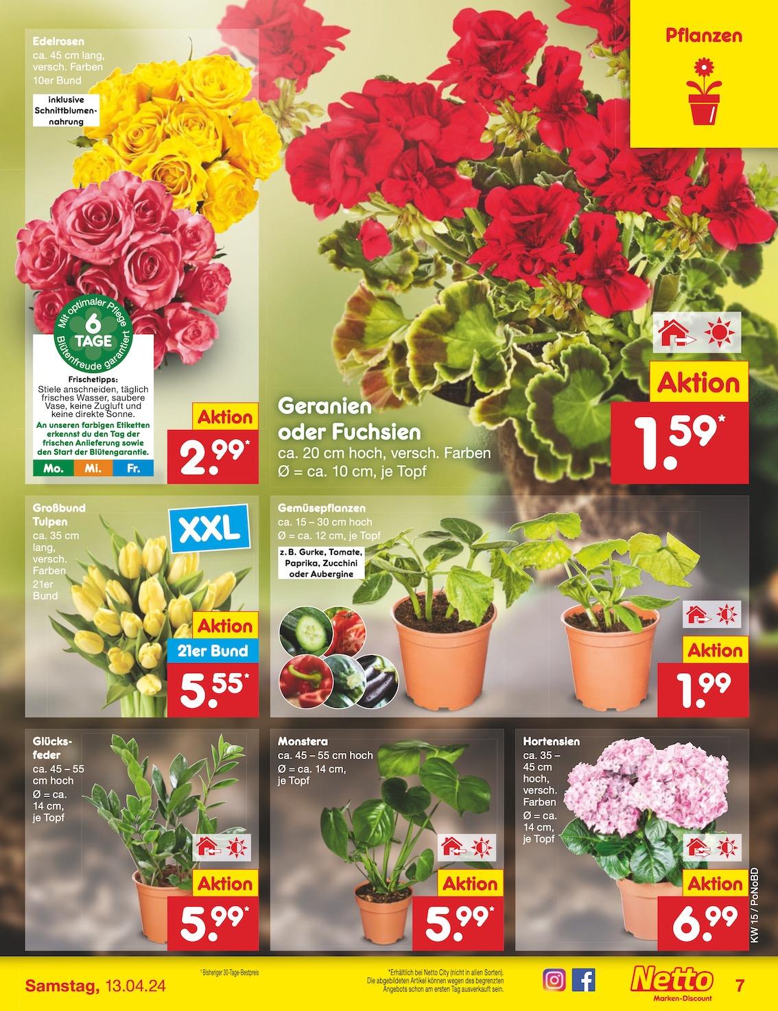 Netto Markend-Discount Seite 7