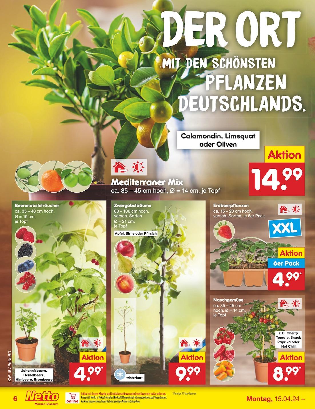 Netto Markend-Discount Seite 6