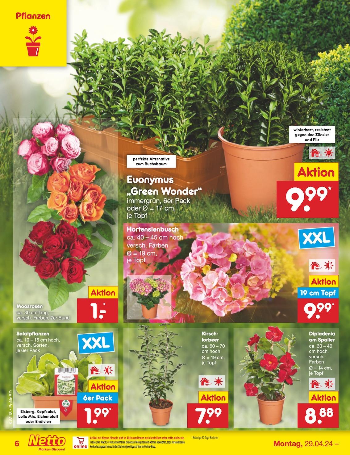 Netto Markend-Discount Seite 6