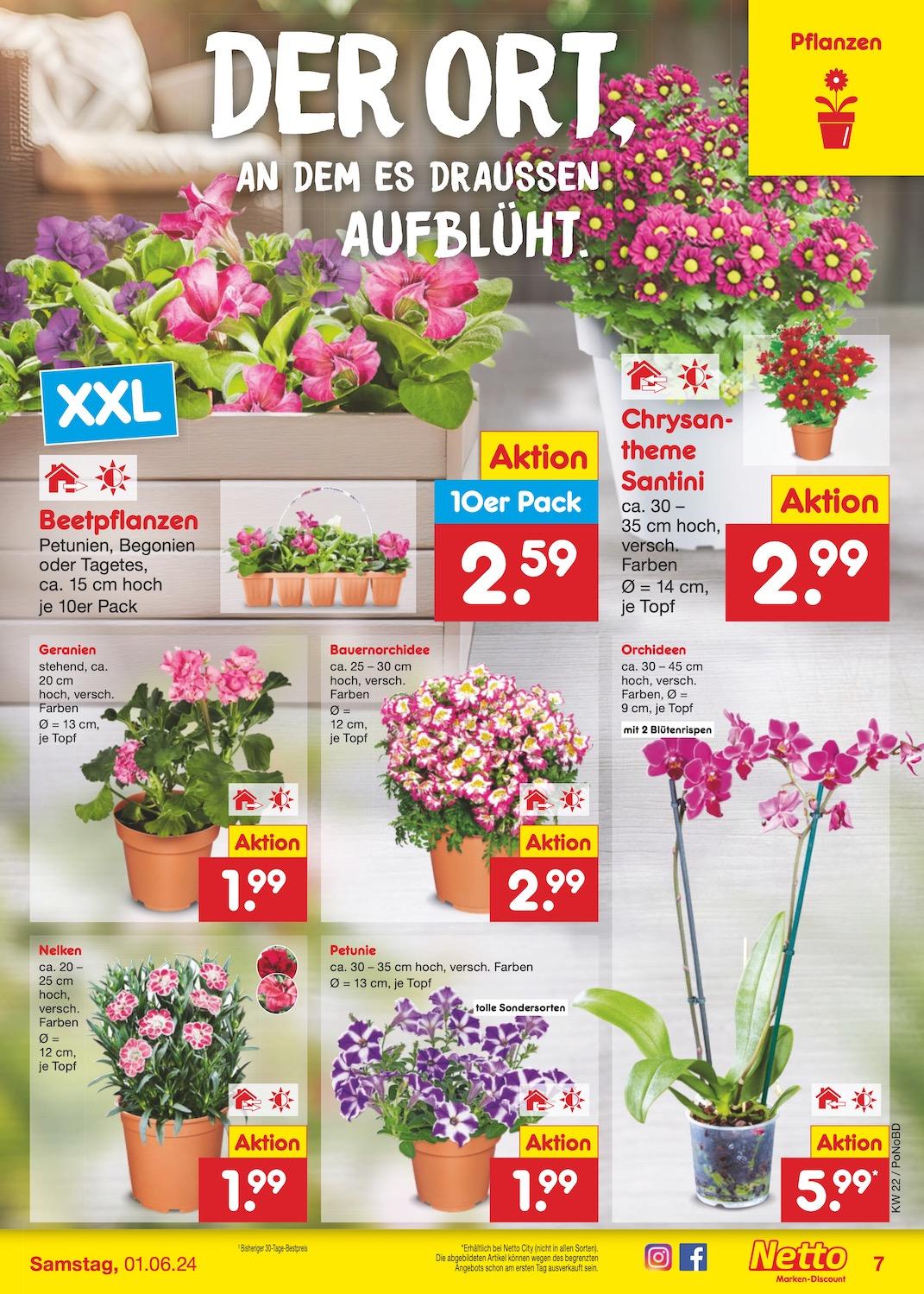 Netto Markend-Discount Seite 9