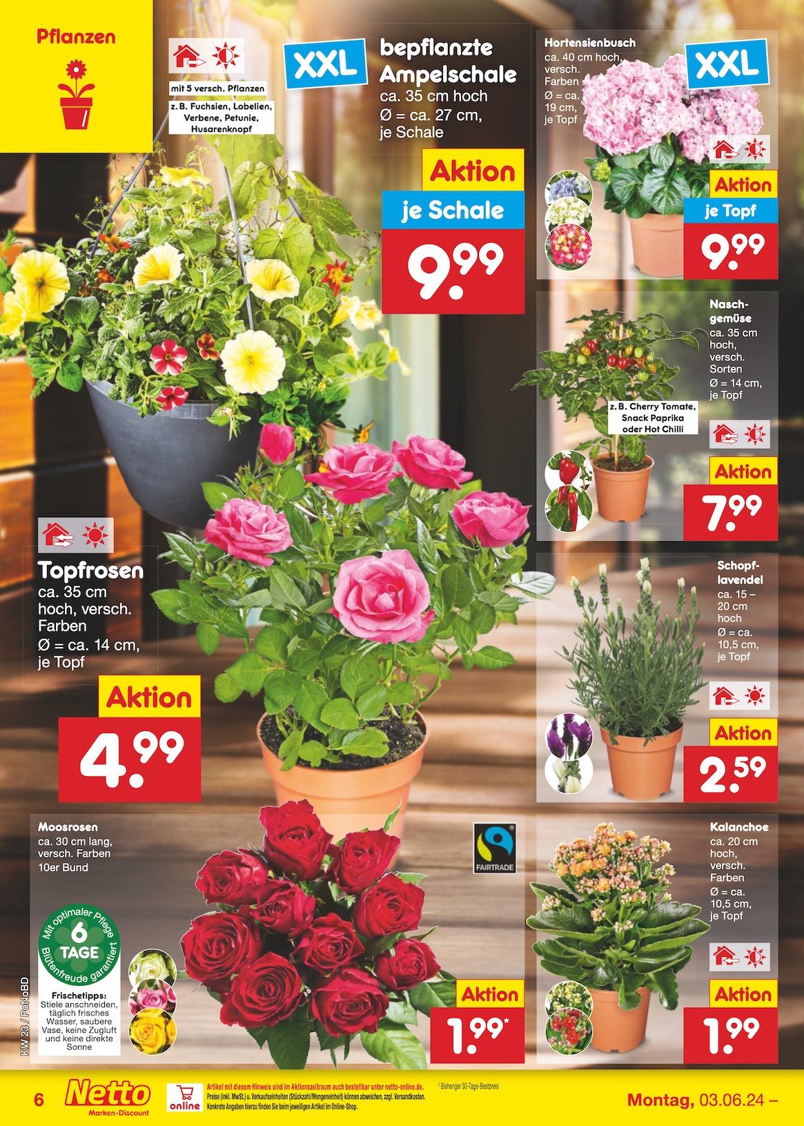 Netto Markend-Discount Seite 6