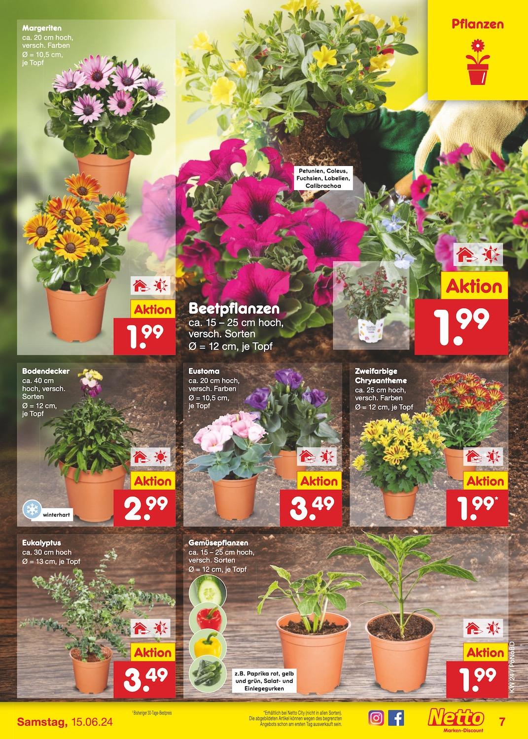 Netto Markend-Discount Seite 9