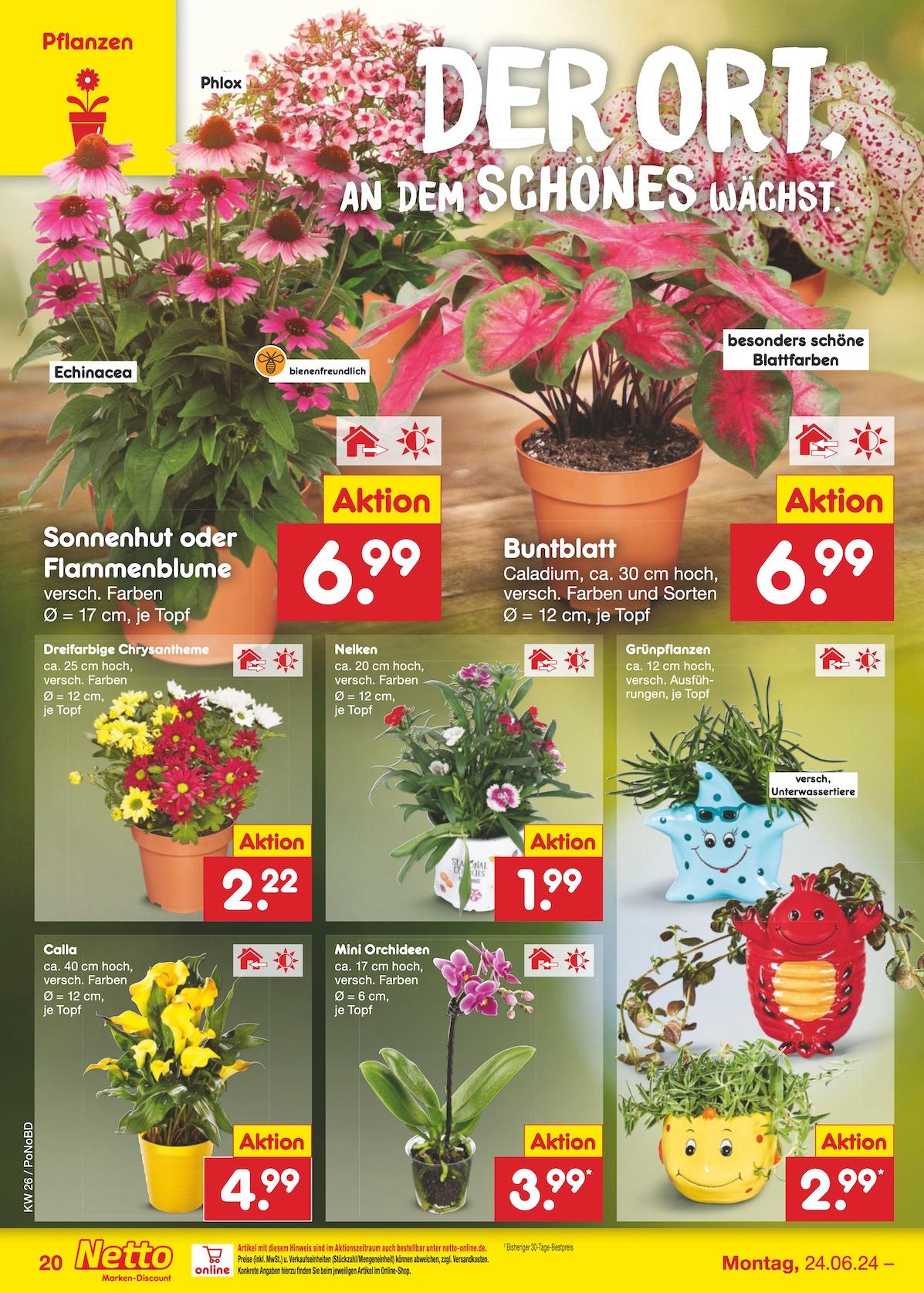 Netto Markend-Discount Seite 24