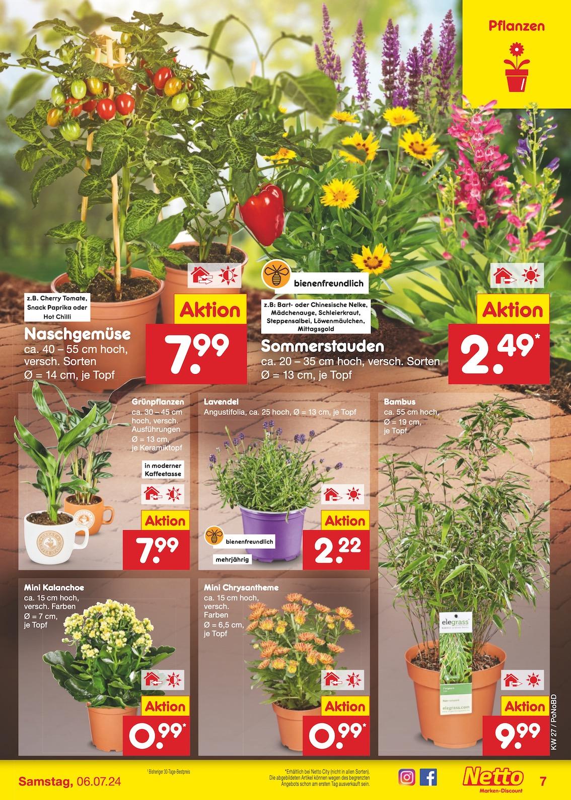 Netto Markend-Discount Seite 8