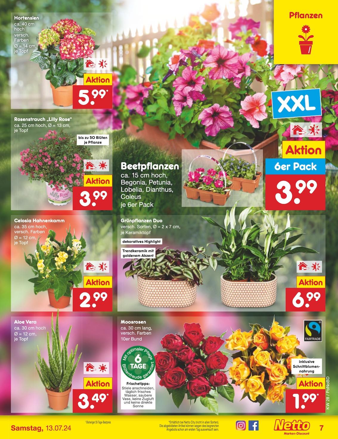 Netto Markend-Discount Seite 7